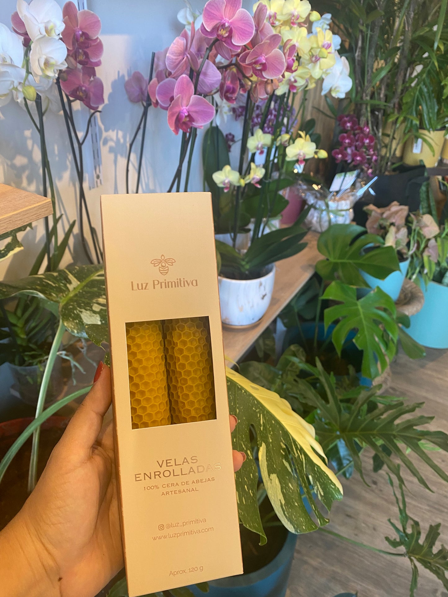 Velas enrolladas de Miel