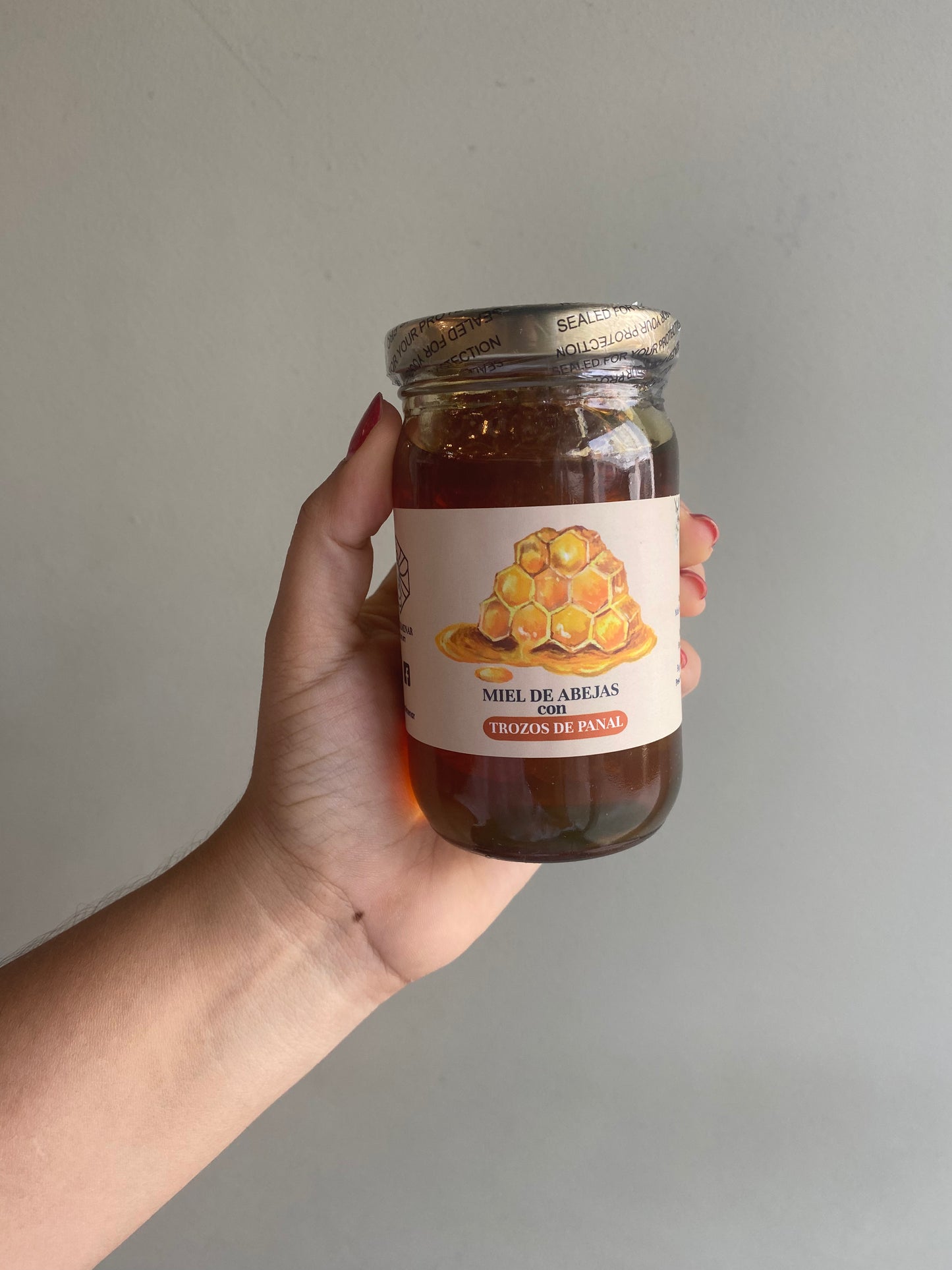 Miel con Trozos de Panal