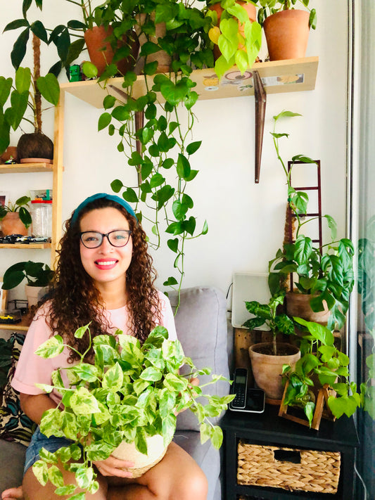 Relatos de una Jungla Urbana: Yissell Peralta, más de 90 Plantas Cultivadas en Base al Amor de una Infancia Verde