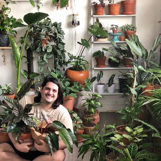 Relatos de una Jungla Urbana: Andres Stanzione, las plantas me hacen sentir vivo