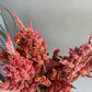 Celosia Plume - Brick Red